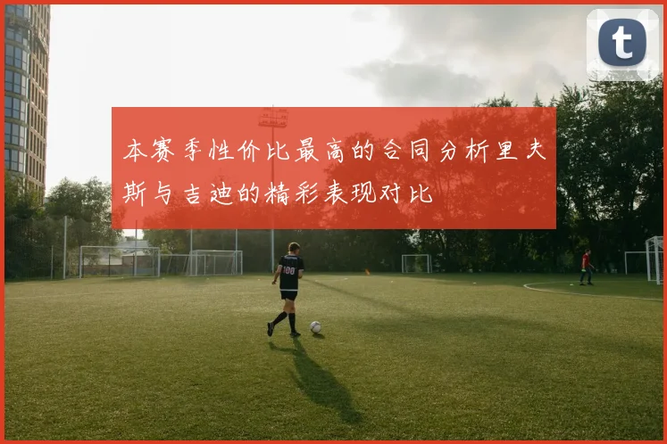本赛季性价比最高的合同分析里夫斯与吉迪的精彩表现对比