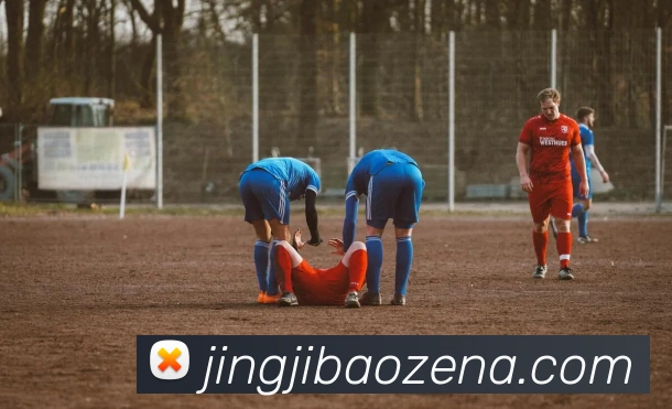 App Interface Preview